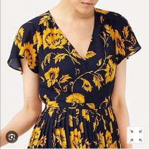 J. Crew Factory Dress